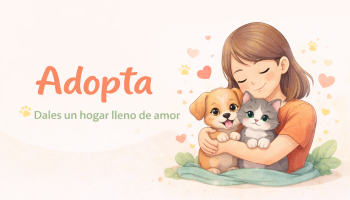 adopta